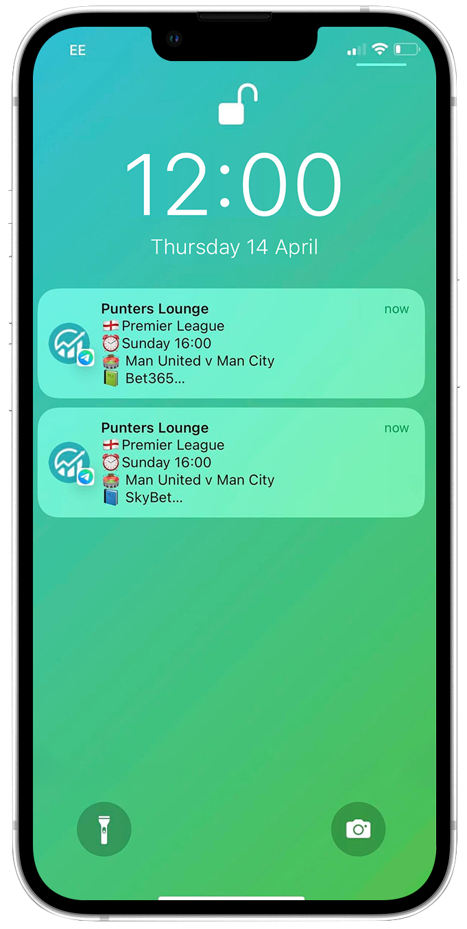 iPhone mockup of telegram chat